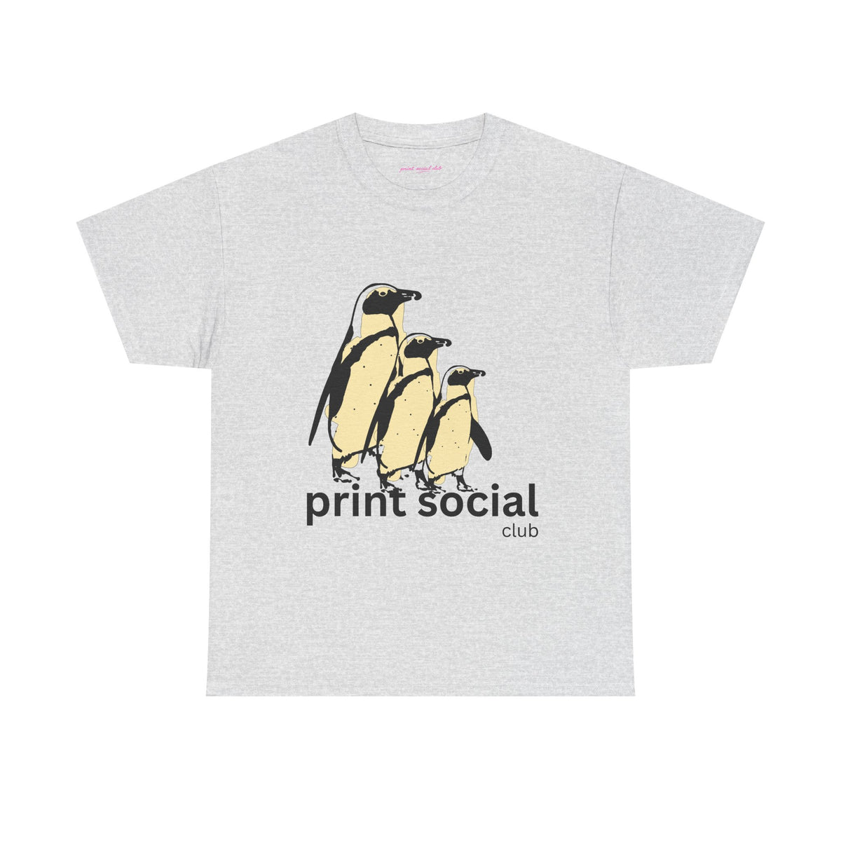 Colony Classic Tee in Ash, front