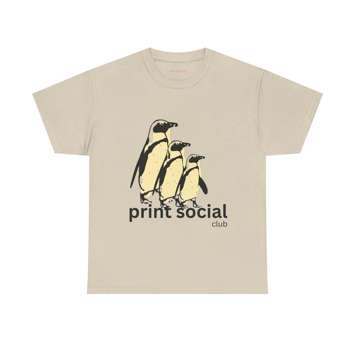 Colony Classic Tee in Sand, front