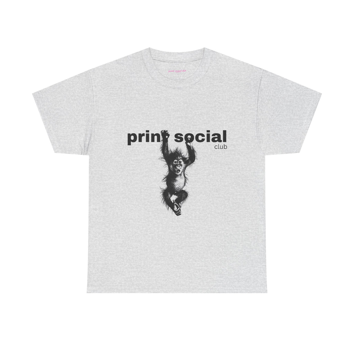 Save Wild Monkeys Classic Tee in Ash, front