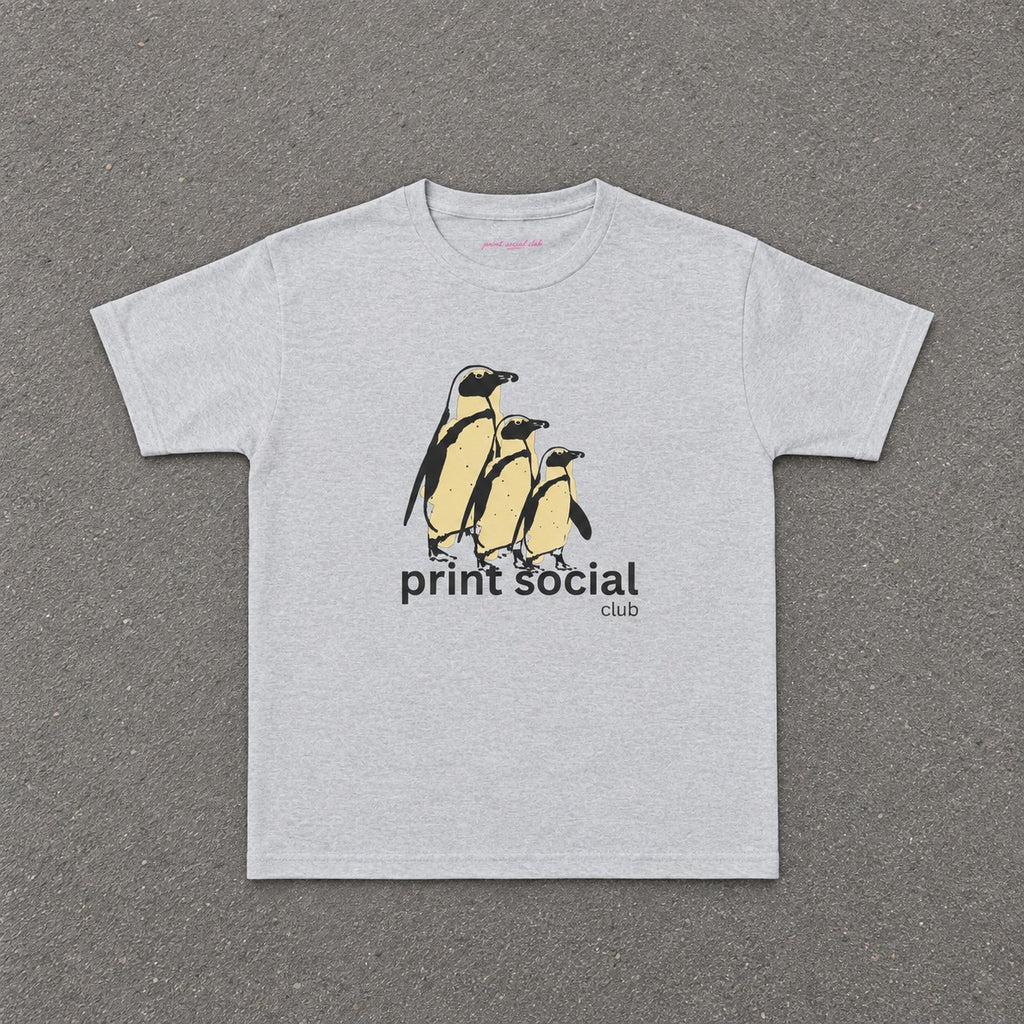 Colony Baby Tee in Ash, flat lay
