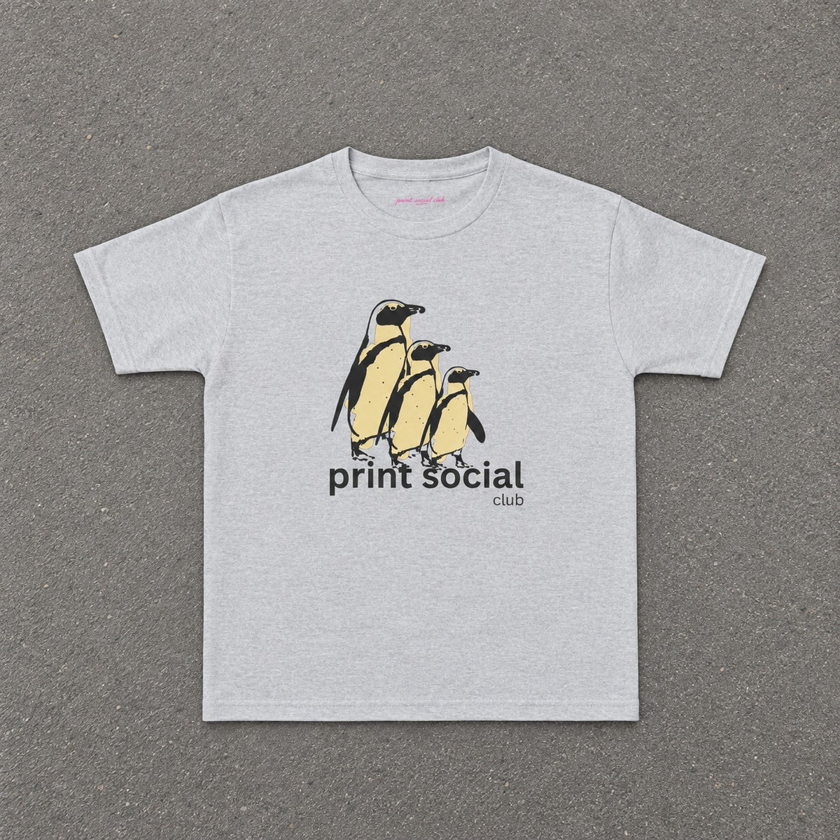 Colony Baby Tee in Ash, flat lay